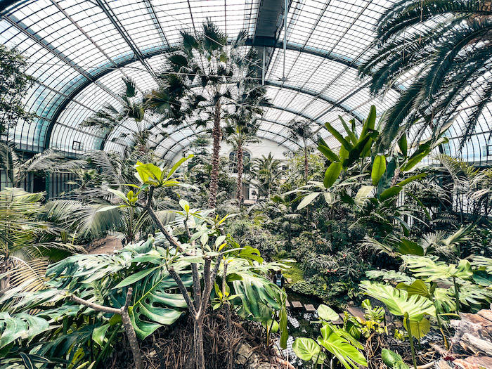 Greenhouse Palmengarten Frankfurt
