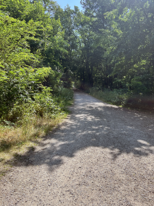 Entrance to Käfertaler Wald